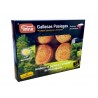 galletas pasiegas tinina