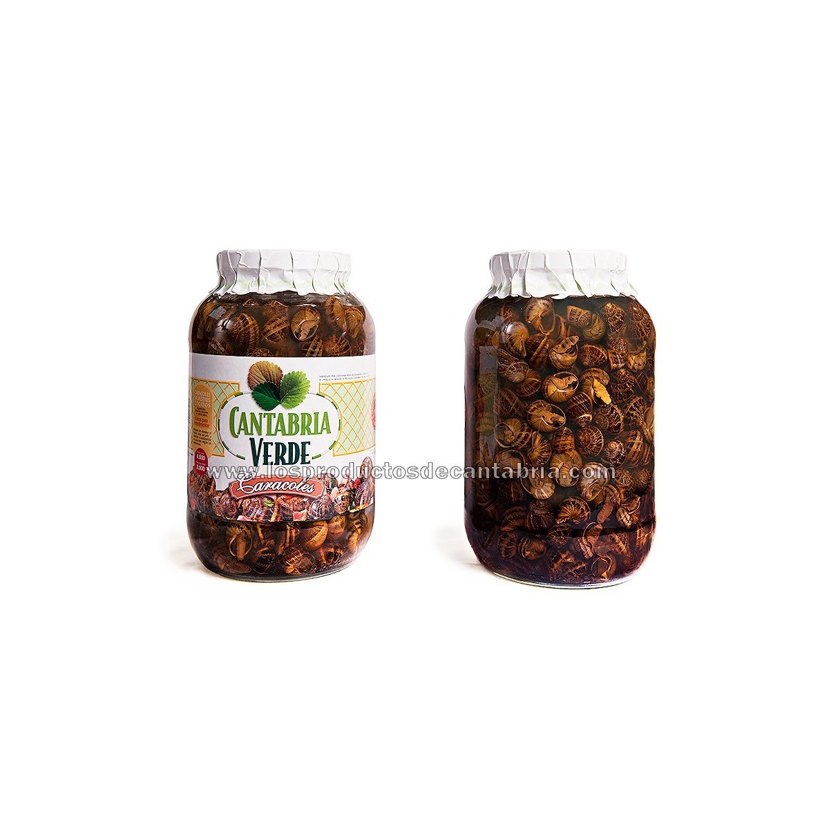 caja 2 tarros CARACOLES CANTABRIA VERDE 4000 gr